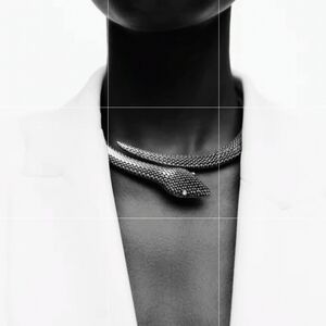 ZARA Snake serpentine serpent Choker Necklace In Silver | NWOT